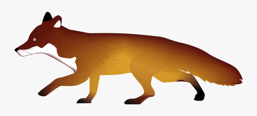 Red Fox, Transparent Clipart