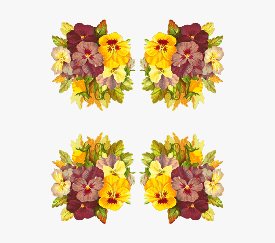 Alstroemeriaceae, Transparent Clipart