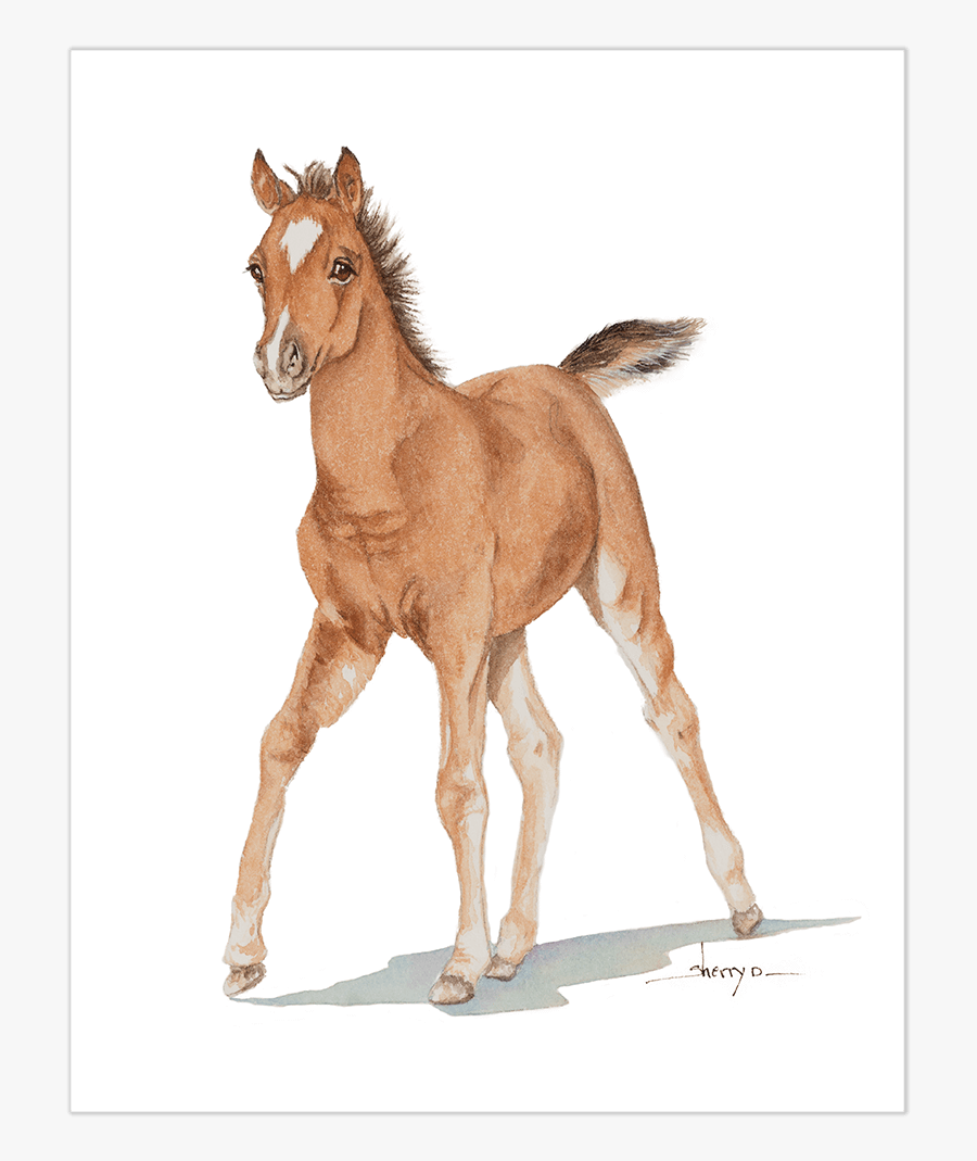 Clip Art Baby Horse - Horse Baby Png , Free Transparent Clipart