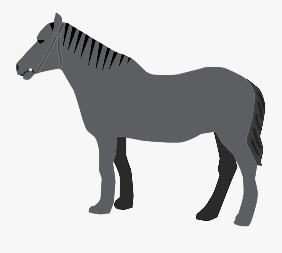 Horse Grey Animal Mammal - Arab Horse Silhouette, Transparent Clipart