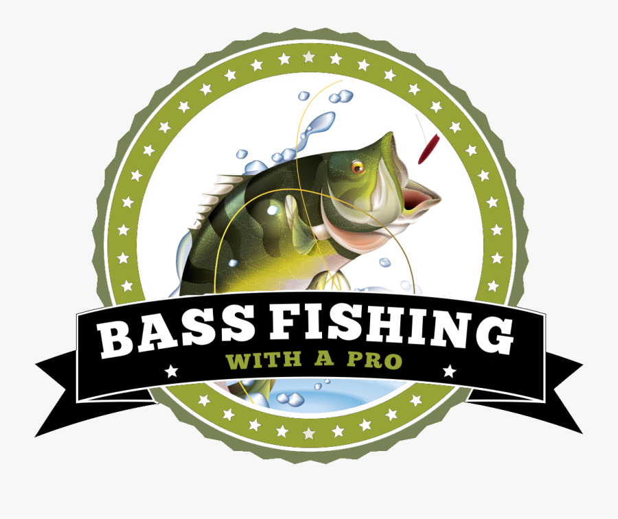 Transparent Bass Fish Clipart - Bass, Transparent Clipart