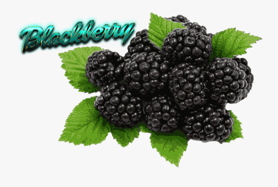 Blackberry Free Png Image - Blackberries Png, Transparent Clipart