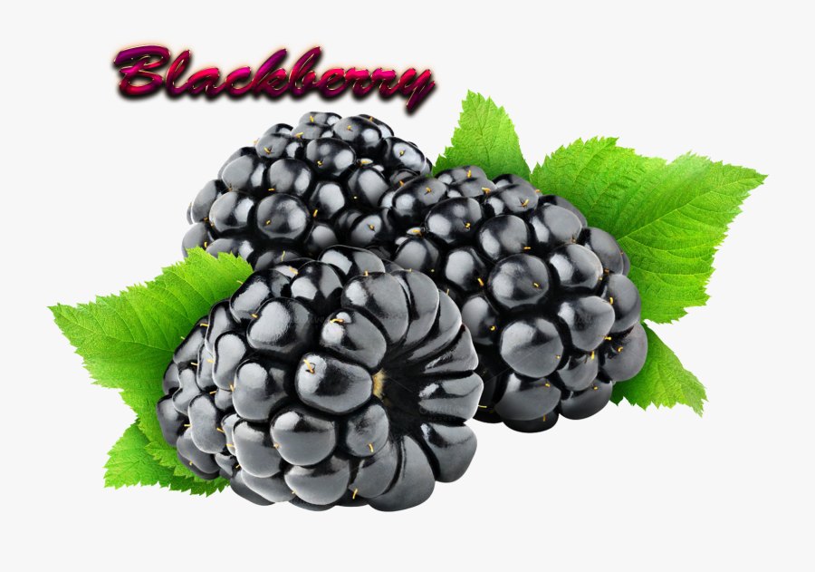 Blackberry Download Png - Blackberry Png, Transparent Clipart