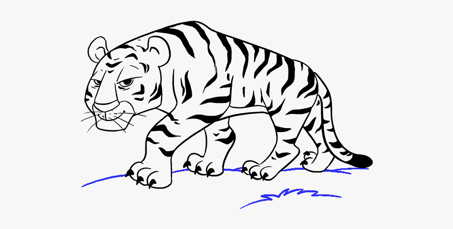 Cartoon Drawing At Getdrawings - Tiger Cartoon Drawing Easy, Transparent Clipart