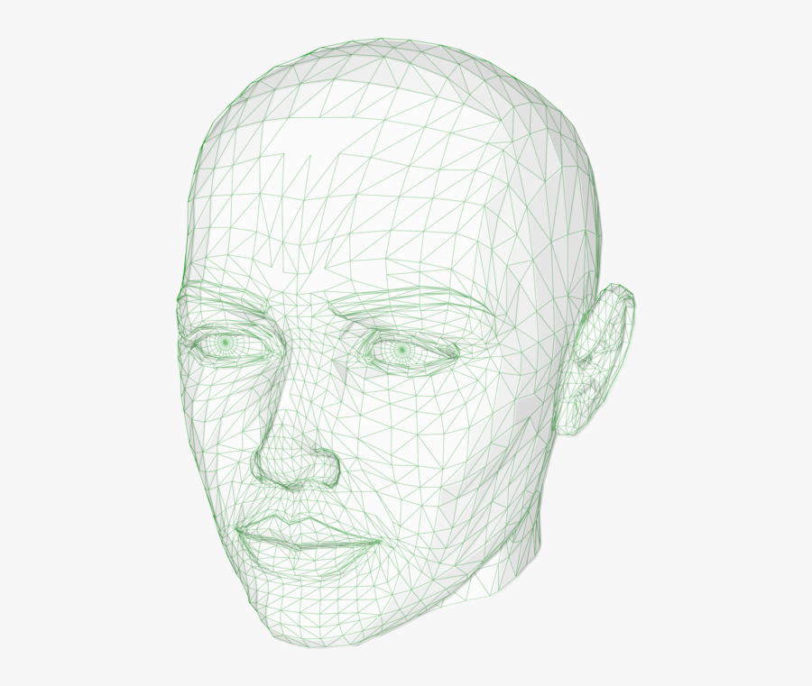 Head,neck,jaw - 3d Wireframe Head Svg, Transparent Clipart