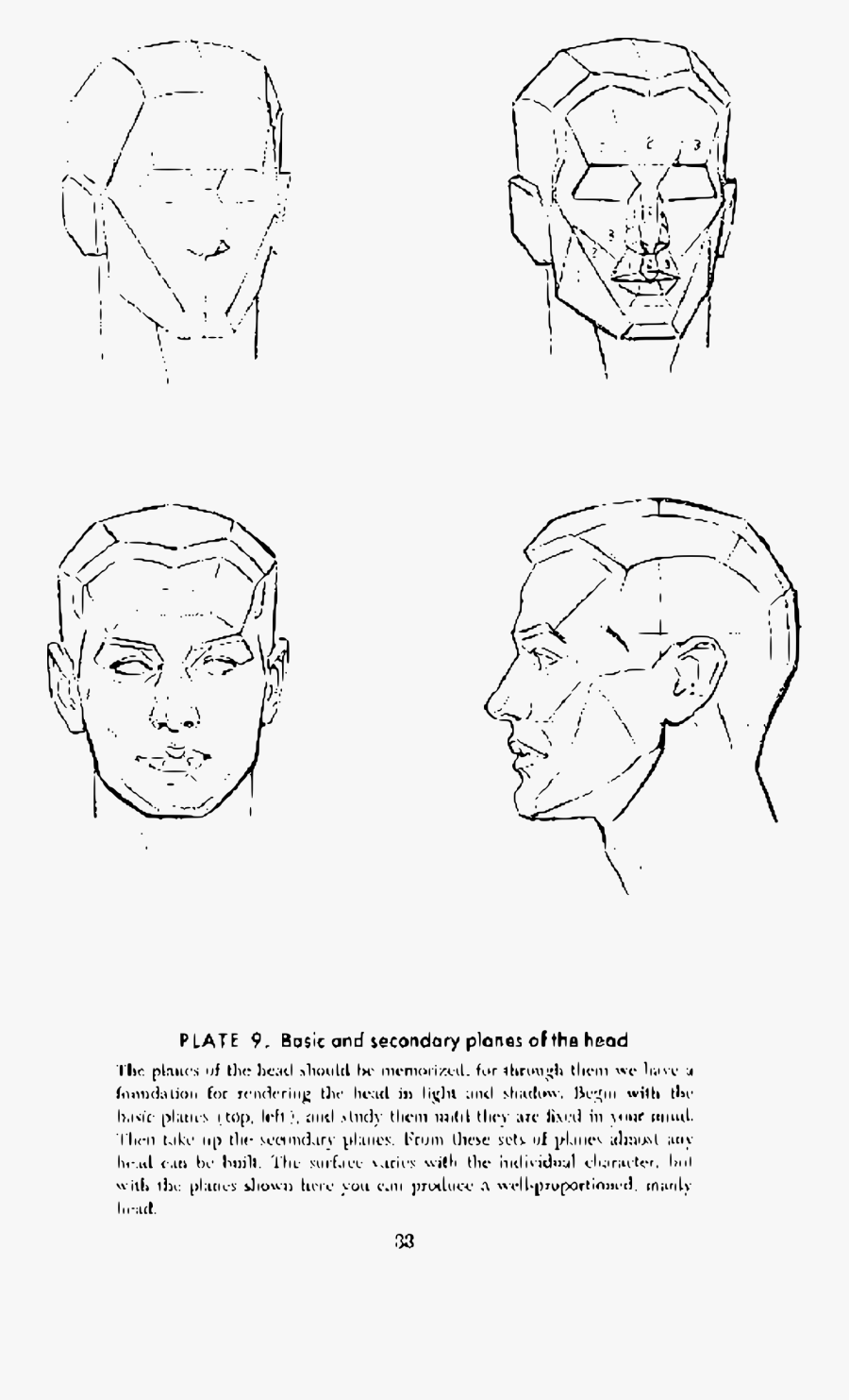 Class Drawing Anatomy - Drawing Head Andrew Loomis, Transparent Clipart