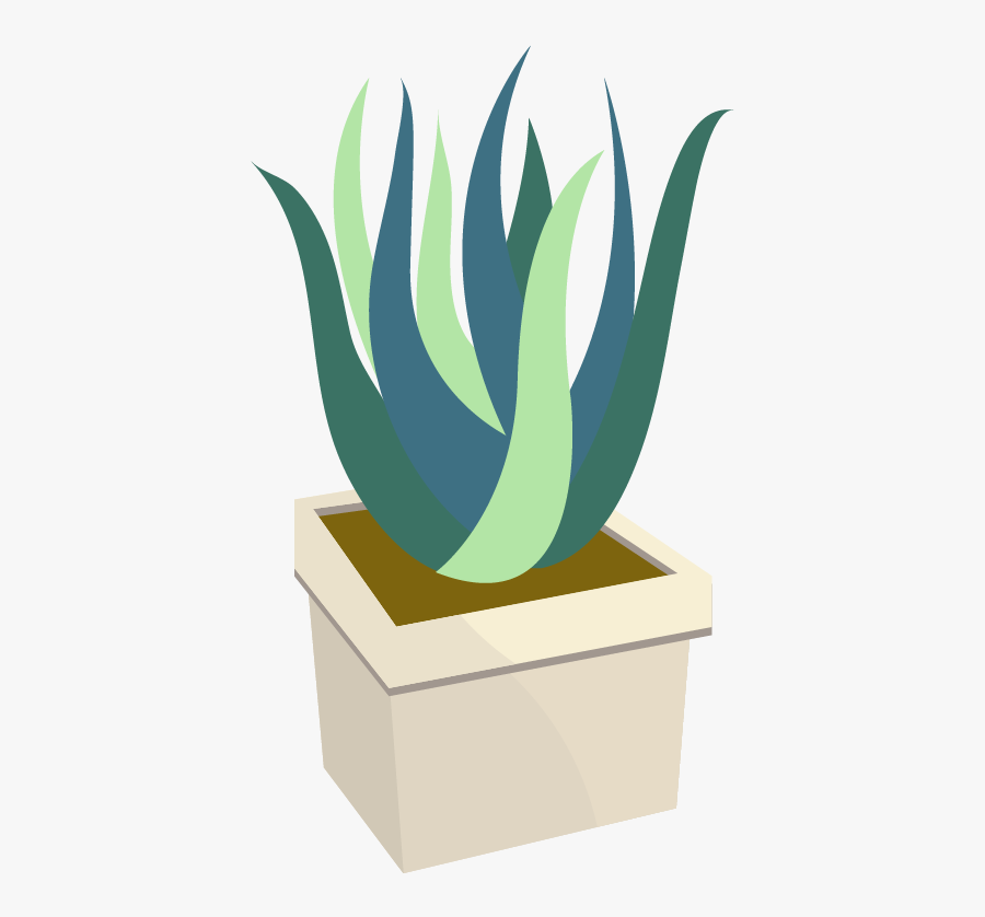 Cactaceae Prickly Pear Euclidean Vector Icon - Illustration, Transparent Clipart