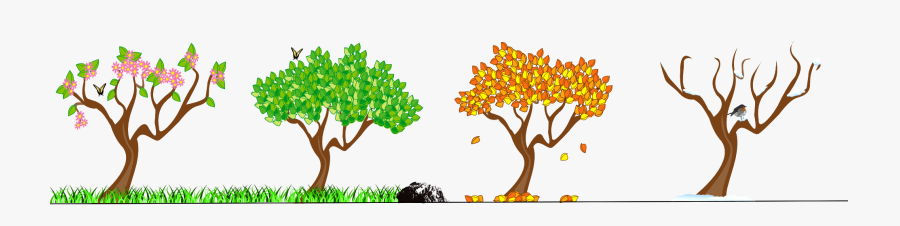 Transparent Seasons Tree - Seasons Clipart, Transparent Clipart