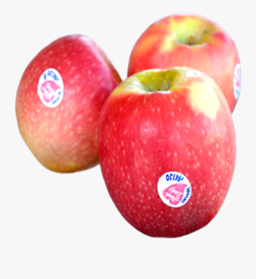 Transparent Apples Png - Pink Lady Apple South Africa, Transparent Clipart