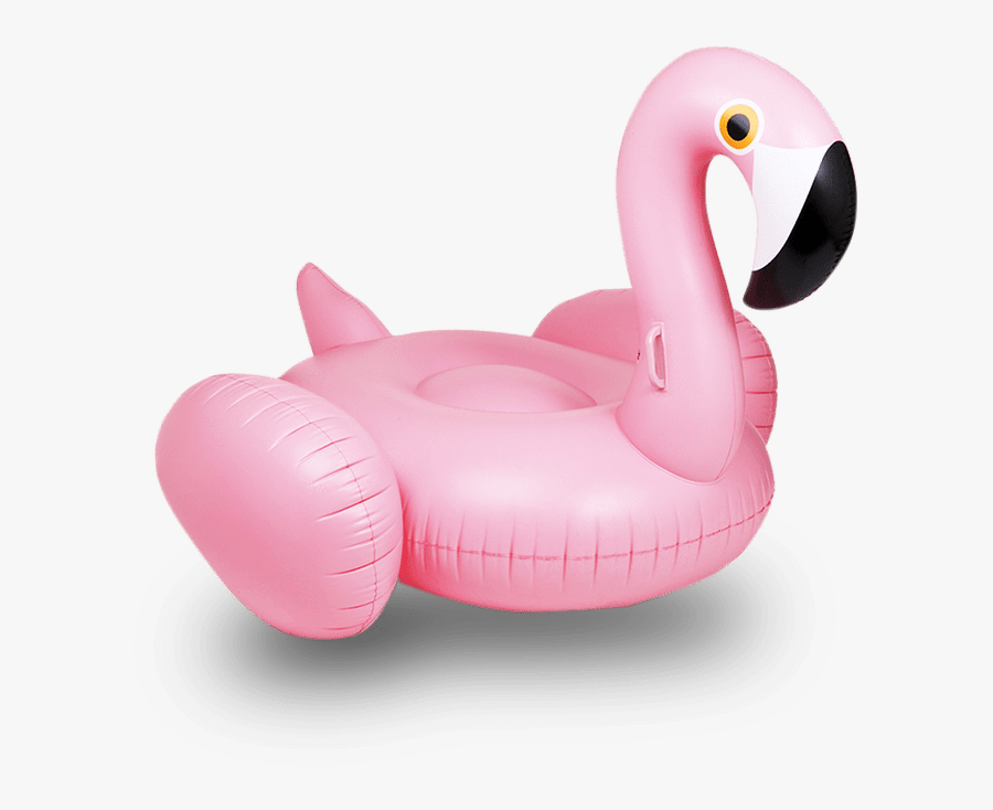 Flamingo Floats, Transparent Clipart