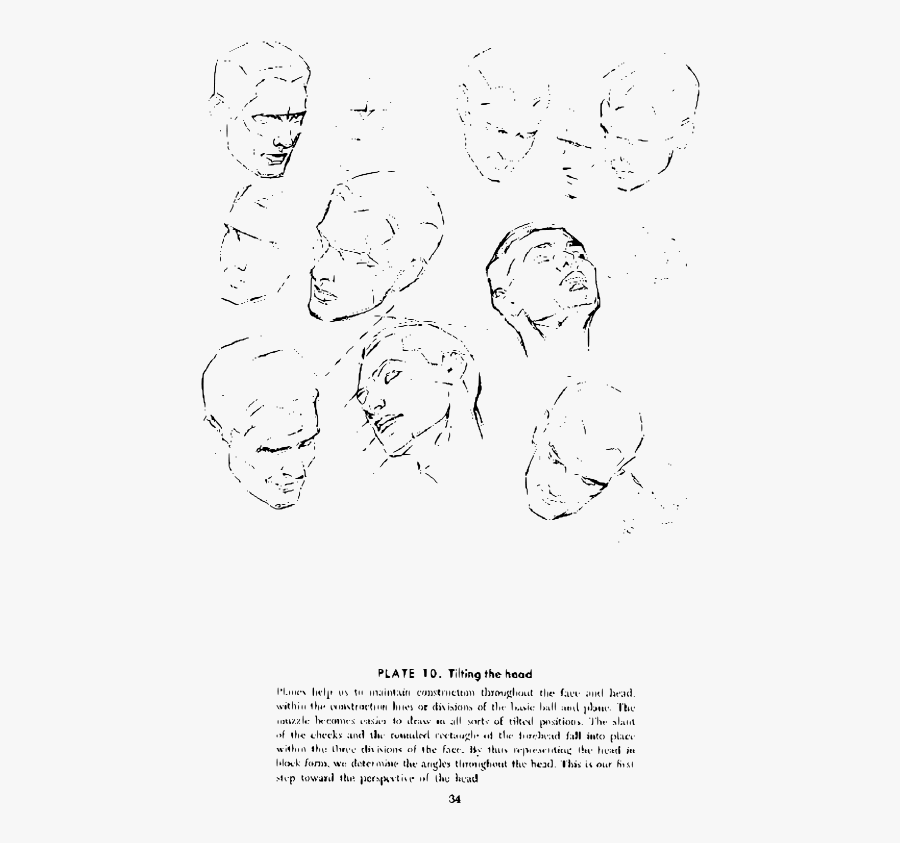 Andrew Loomis Drawing The Head And Hands 29 - Drawing, Transparent Clipart