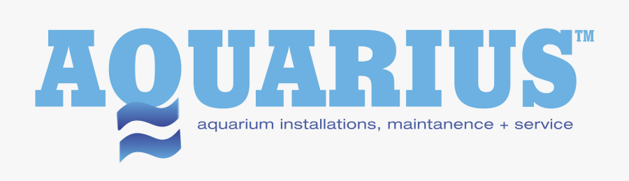 Aquarius Png Transparent Images - Electric Blue, Transparent Clipart