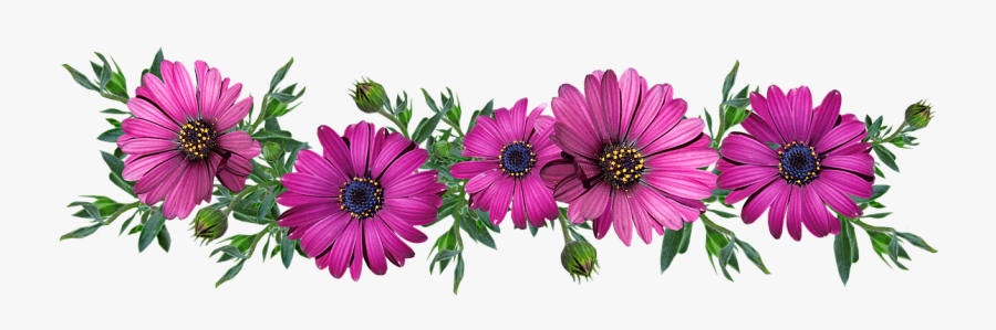 Flowers, Daisies, Arrangement, Cut Out - Kwiaty Gify Bez Tła, Transparent Clipart