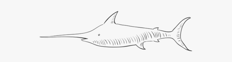 Atlantic Blue Marlin, Transparent Clipart