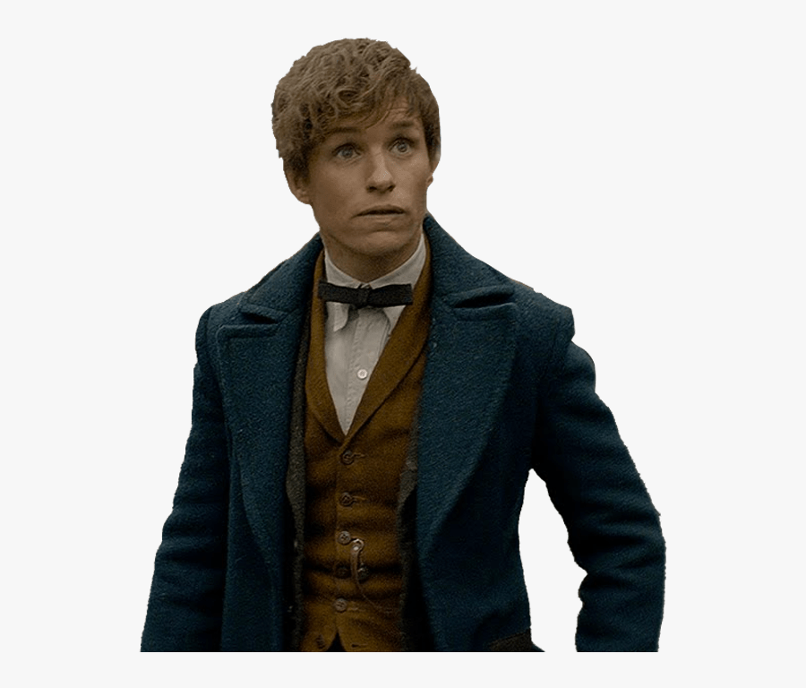 Newt Scamander - Harry Potter Vs Animaux Fantastique, Transparent Clipart