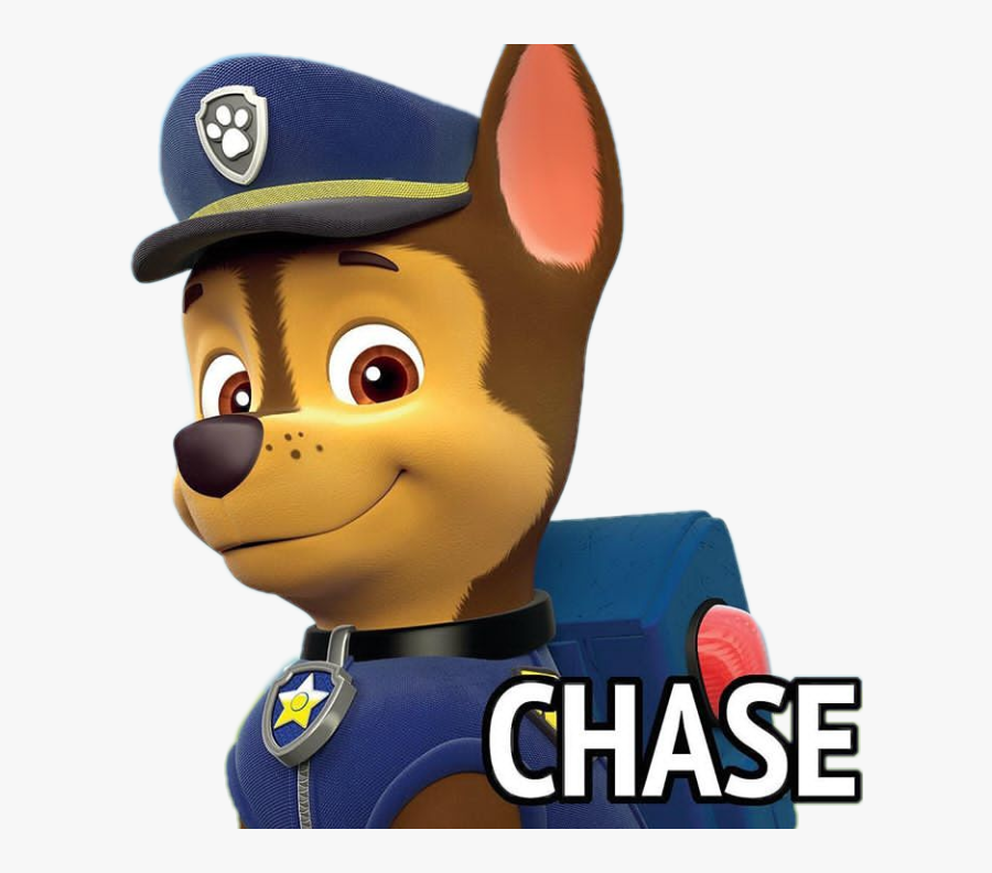 paw patrol cartoon chase