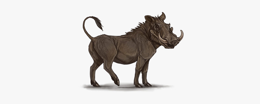 Warthog Png, Transparent Clipart