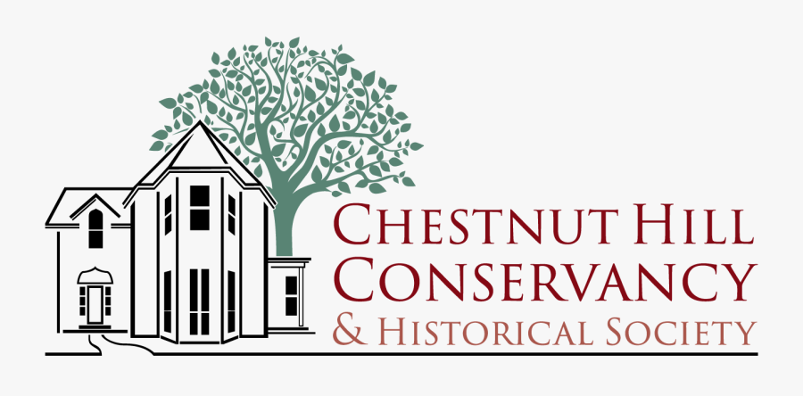 Tree Roots Underground Drawing - Chestnut Hill Conservancy Logo, Transparent Clipart