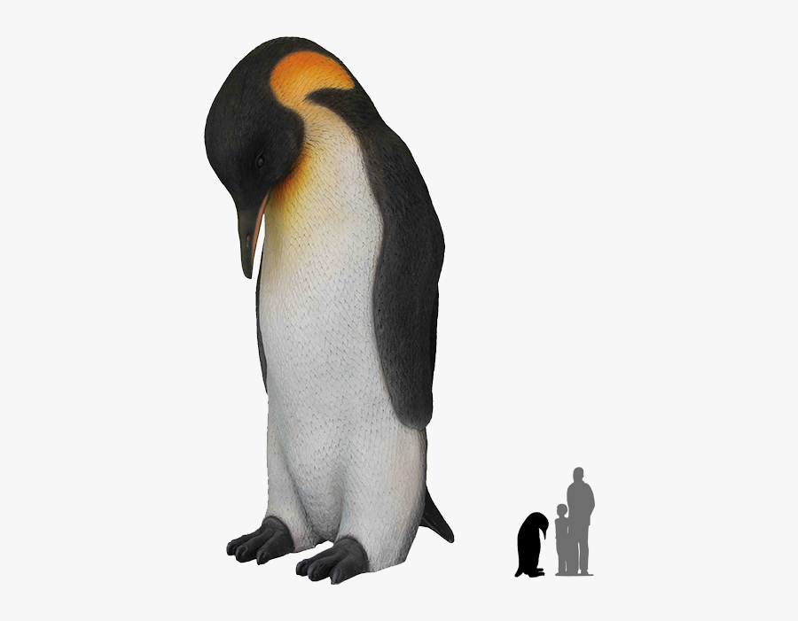 Real Emperor Penguin No Background, Transparent Clipart