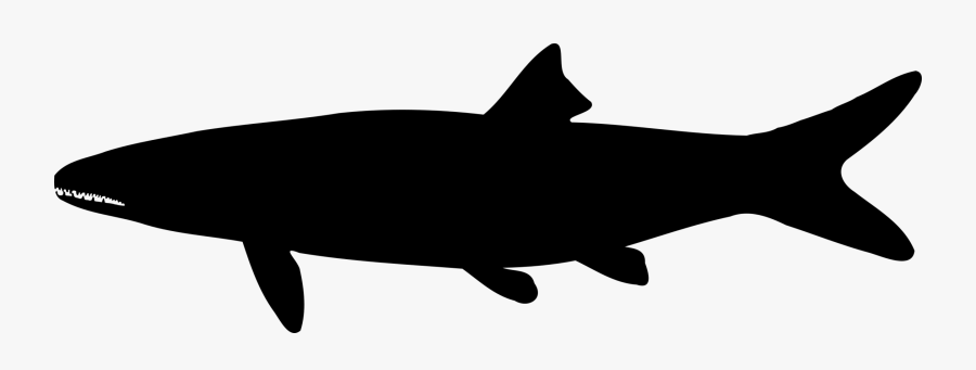 Shark Silhouette Drawing Computer Icons Black - Shark, Transparent Clipart