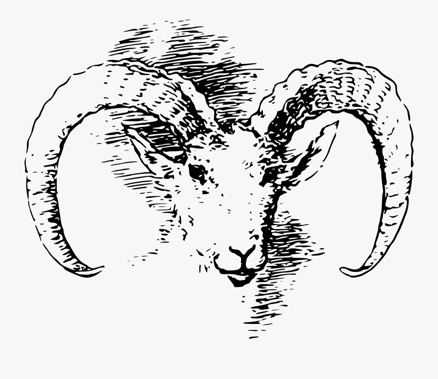 Transparent Lamb Head Clipart - Ram Vintage Print, Transparent Clipart