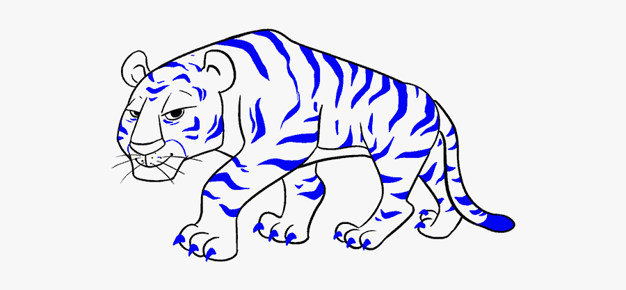 Tigers Drawing Tiger Cub - Full Body Tiger Drawing, Transparent Clipart