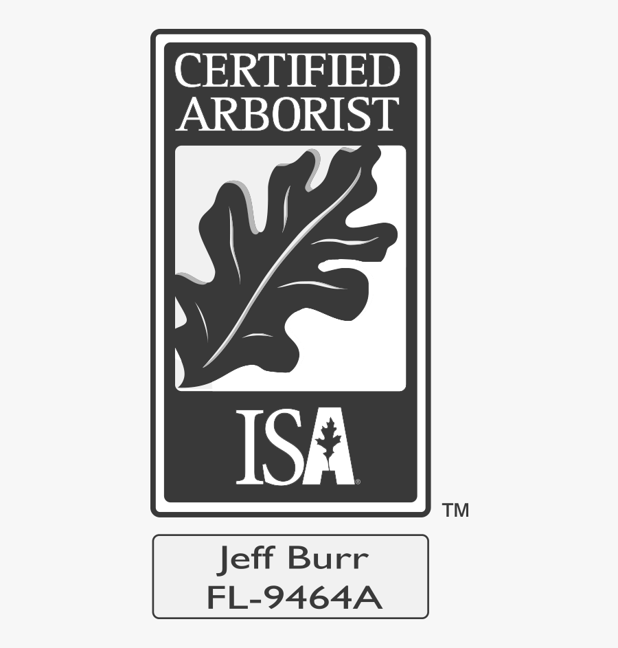 Ica Certified Arborist - Isa Certified Arborist, Transparent Clipart