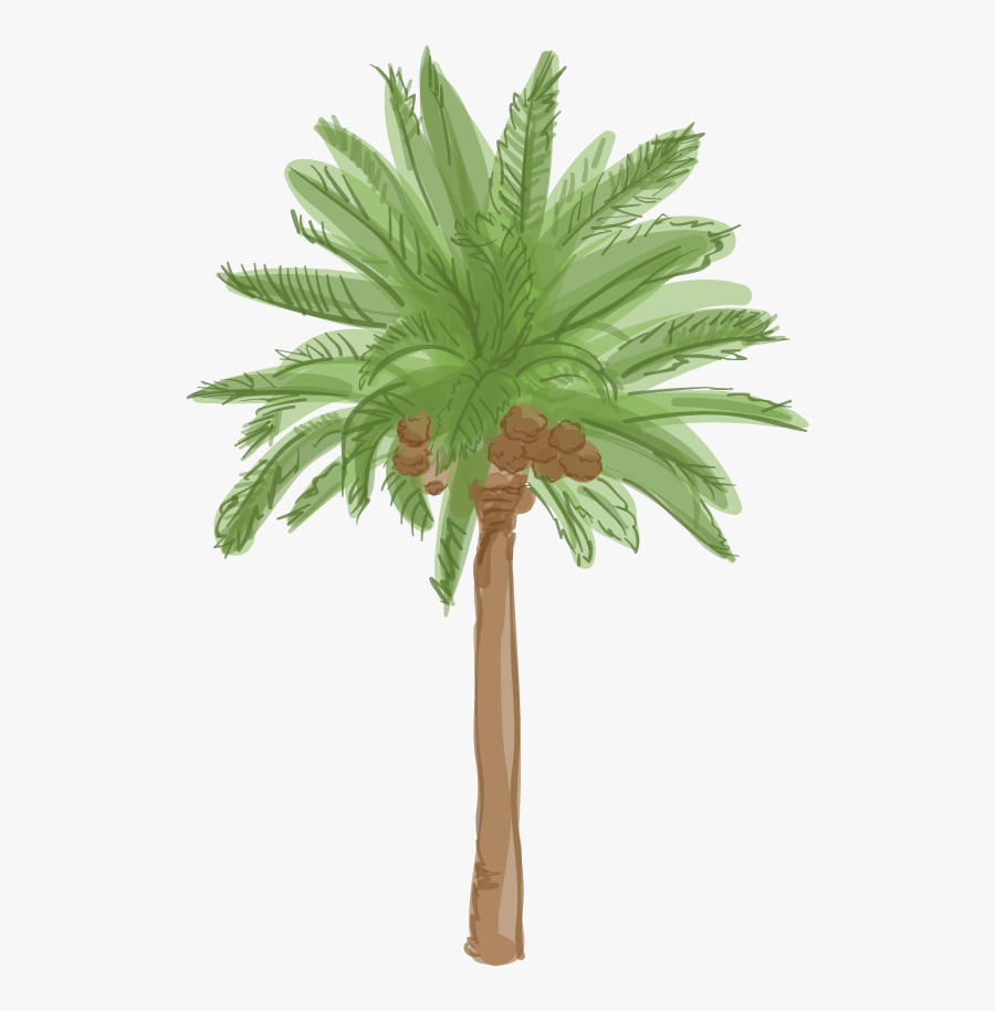 Date Palm Tree Cartoon, Transparent Clipart