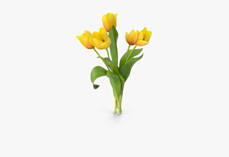 Yellow Tulip Png Free Download - Flowers Vase Tulip Png, Transparent Clipart