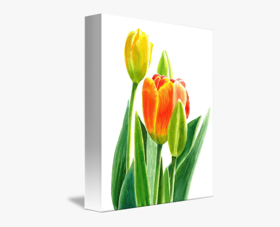 Tulip Transparent Translucent - Orange And Yellow Tulips With Background, Transparent Clipart