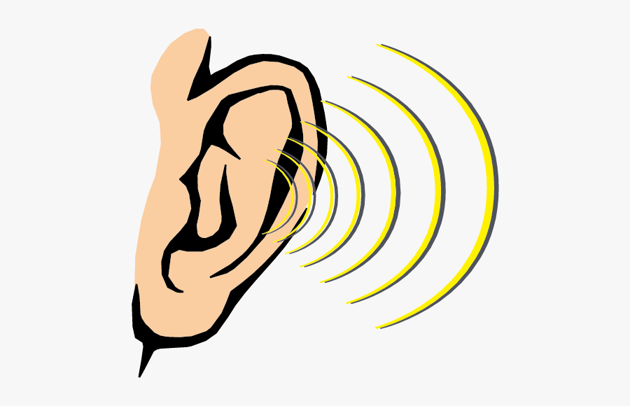 Clip Art Cartoon Ear - Sense Of Hearing Clipart , Free Transparent ...