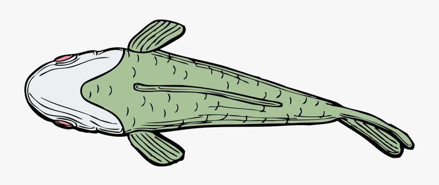 Line Art,line,fish - Fish Top View Cartoon, Transparent Clipart