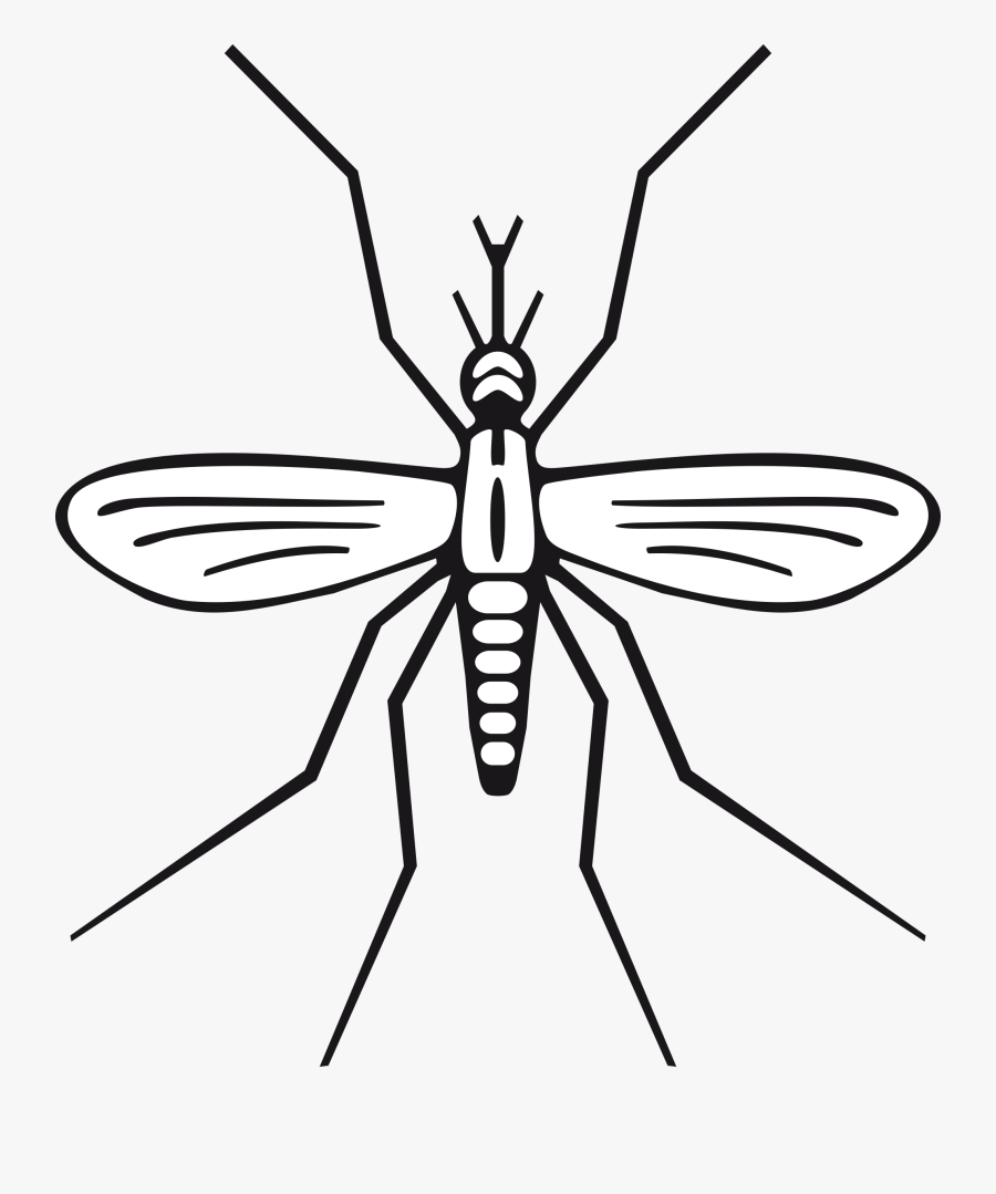 Mosquito Clip Art 2 Clipartbarn - Mosquito Clip Art, Transparent Clipart