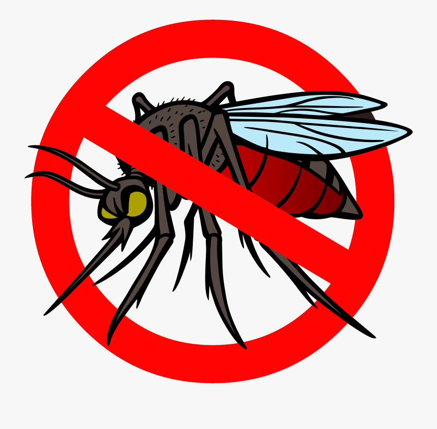 Mosquito Clip Art Mosquito Clipart Harm Pencil And - No To Mosquito ...