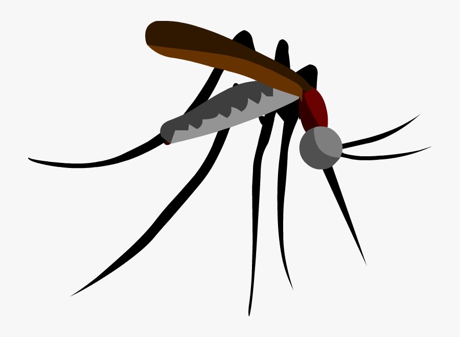 Parasitism Drawing Mosquito Clipart Black And White - Mosquito Cutout, Transparent Clipart