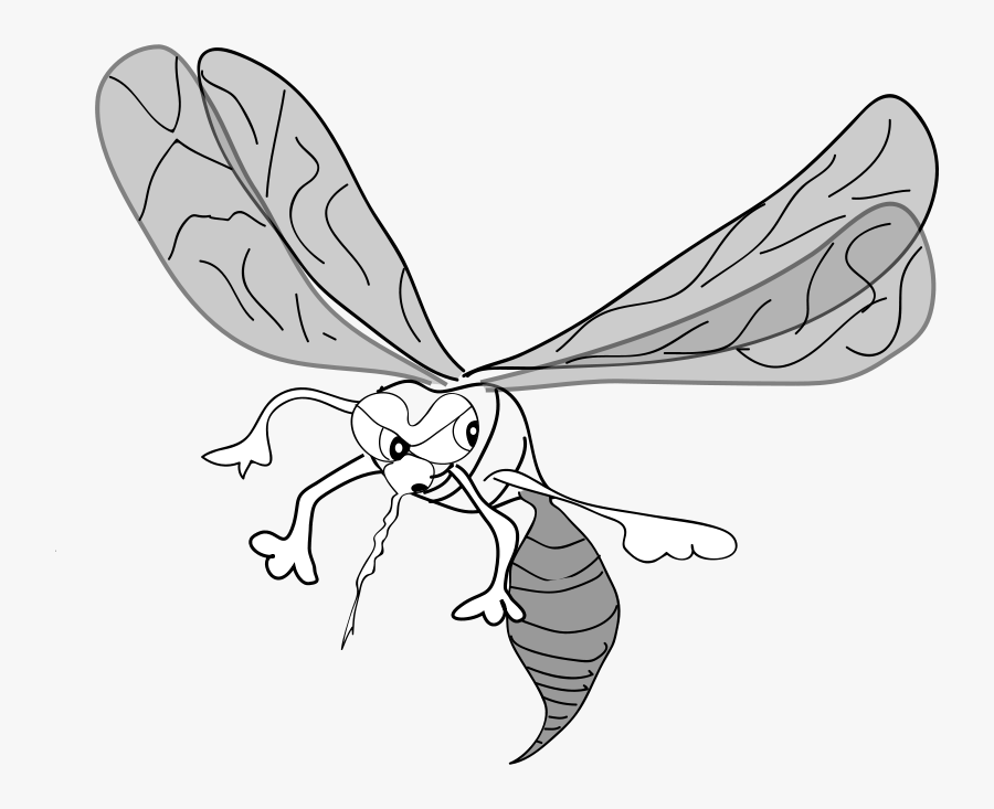 Freehand Mosquito - Mosquito Clip Art, Transparent Clipart