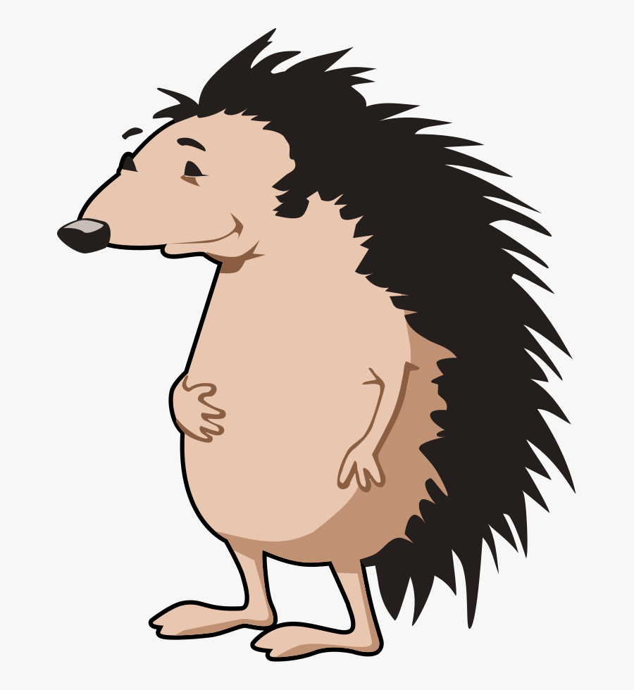 Hedgehog, Transparent Clipart