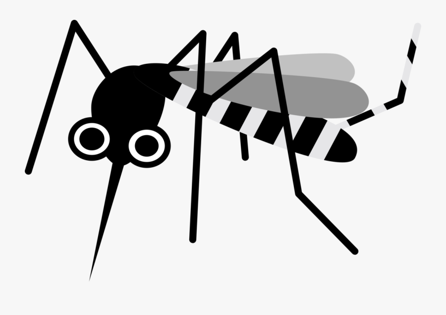 Mosquito, Transparent Clipart