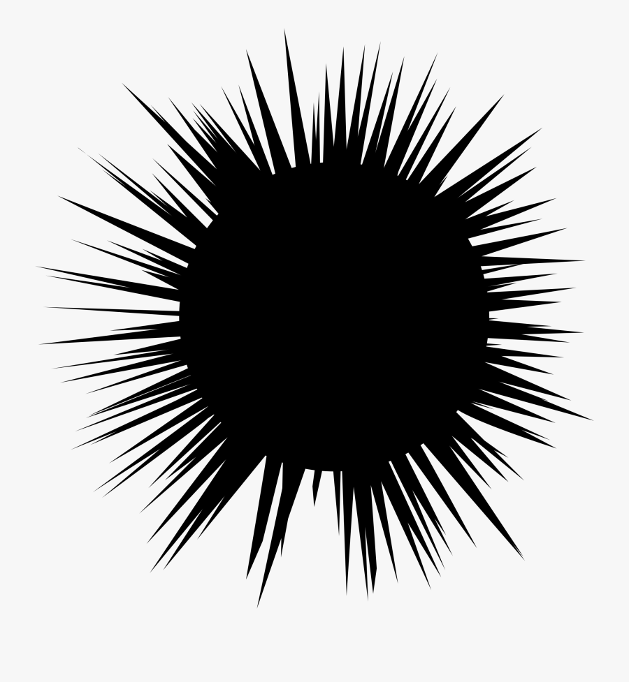 Hedgehog Black And White Clipart - Dibujo Erizo De Mar, Transparent Clipart