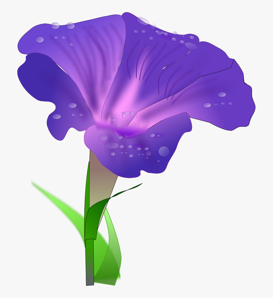 Morning Glory - Morning Glory Flower Clipart, Transparent Clipart