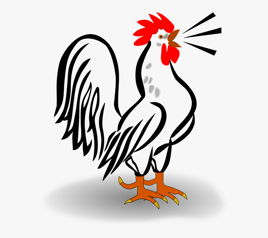 Morning Rooster Clipart Kid - Rooster Clip Art, Transparent Clipart