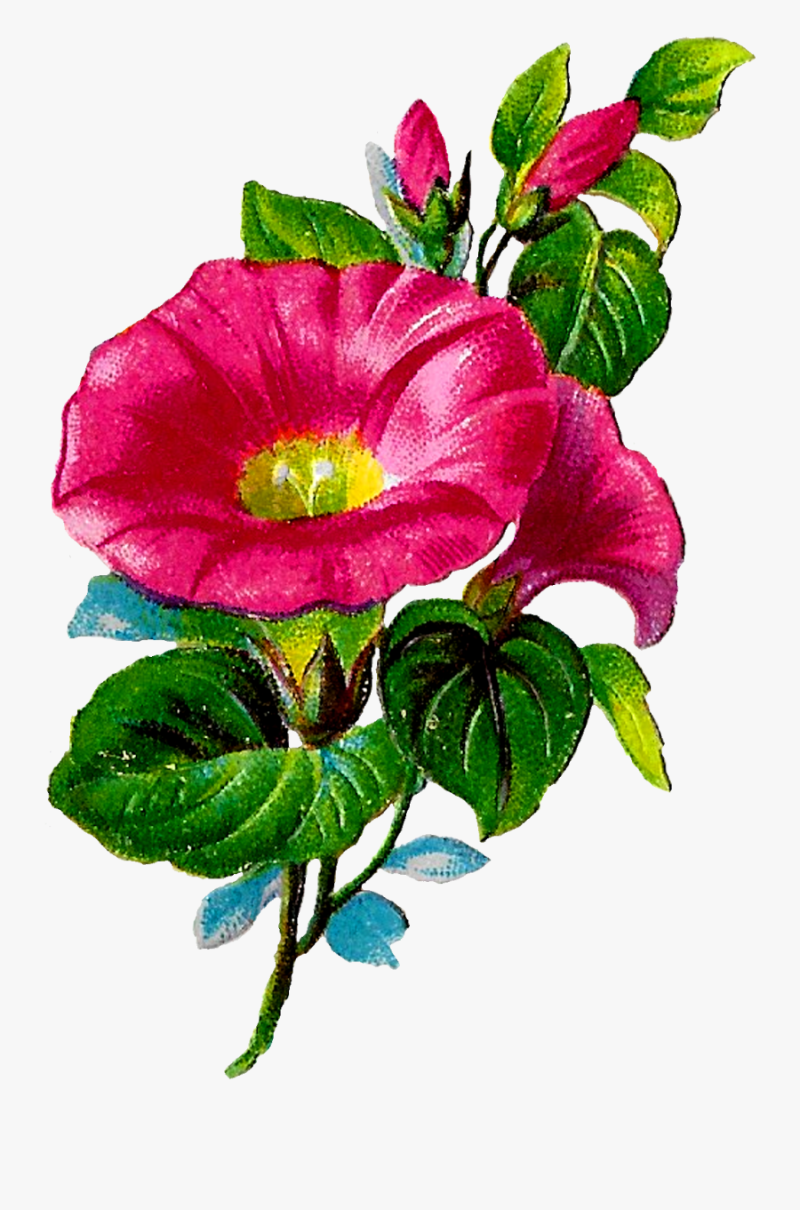Botanical Art Digital Floral Crafting Clipart Royalty - Clip Art, Transparent Clipart