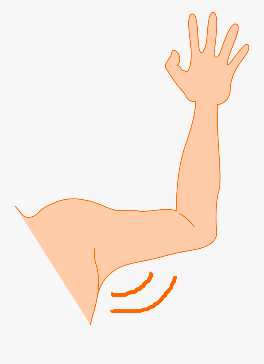 Arm - Clipart - Left Arms And Hands, Transparent Clipart