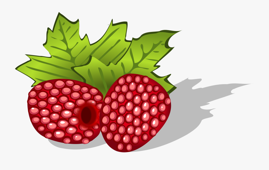 Superfood,plant,leaf - Berries Clipart Transparent, Transparent Clipart