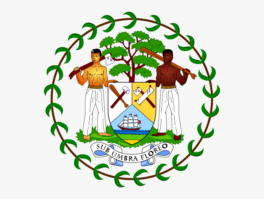 Belize Flag, Transparent Clipart