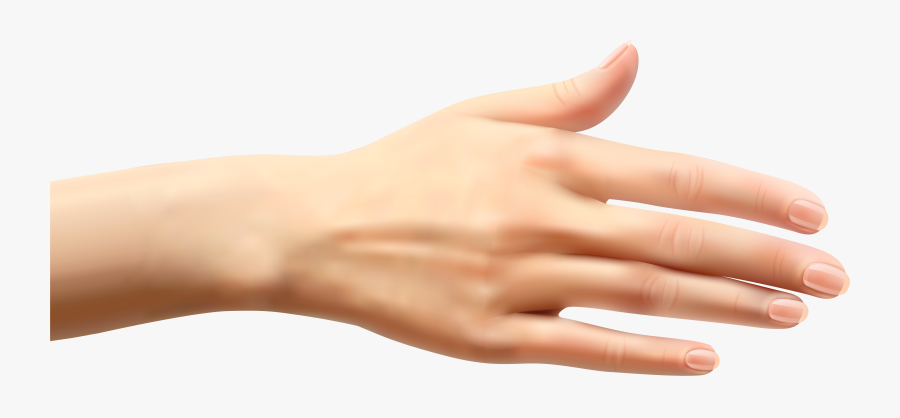 Arm Clipart Skin - Female Hand Png, Transparent Clipart