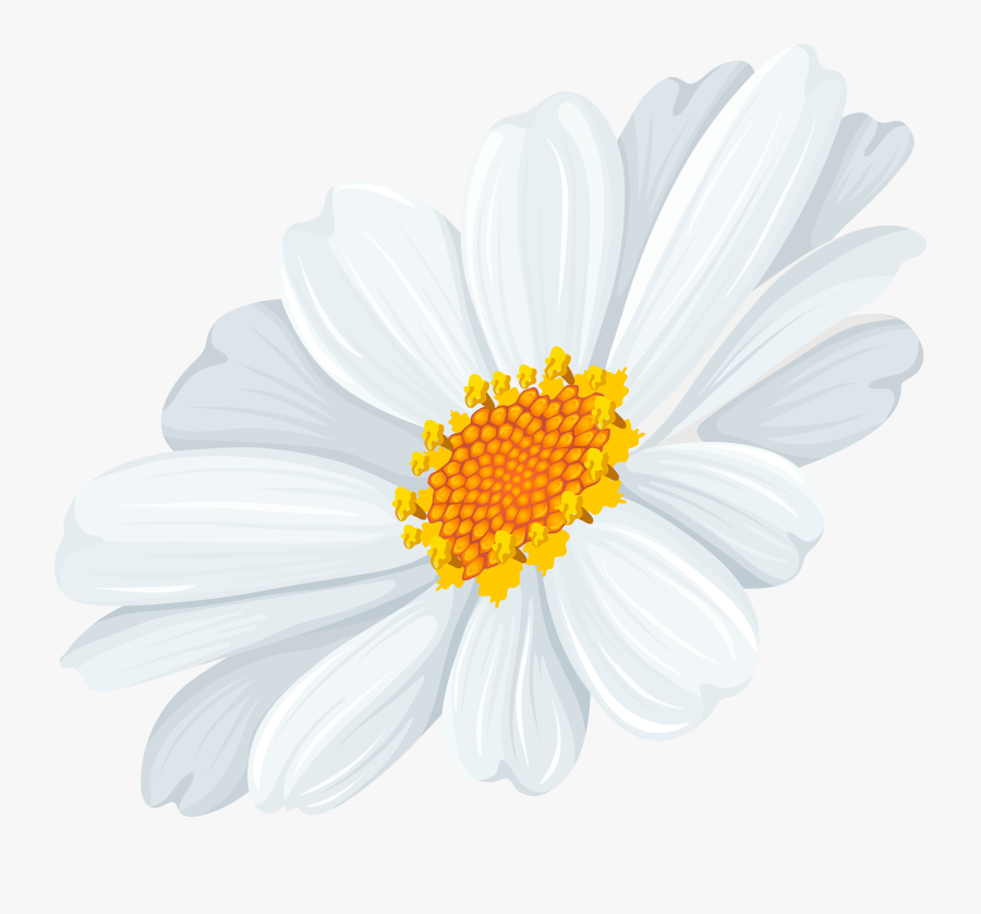 White Daisy Transparent Clip Art Image, Transparent Clipart