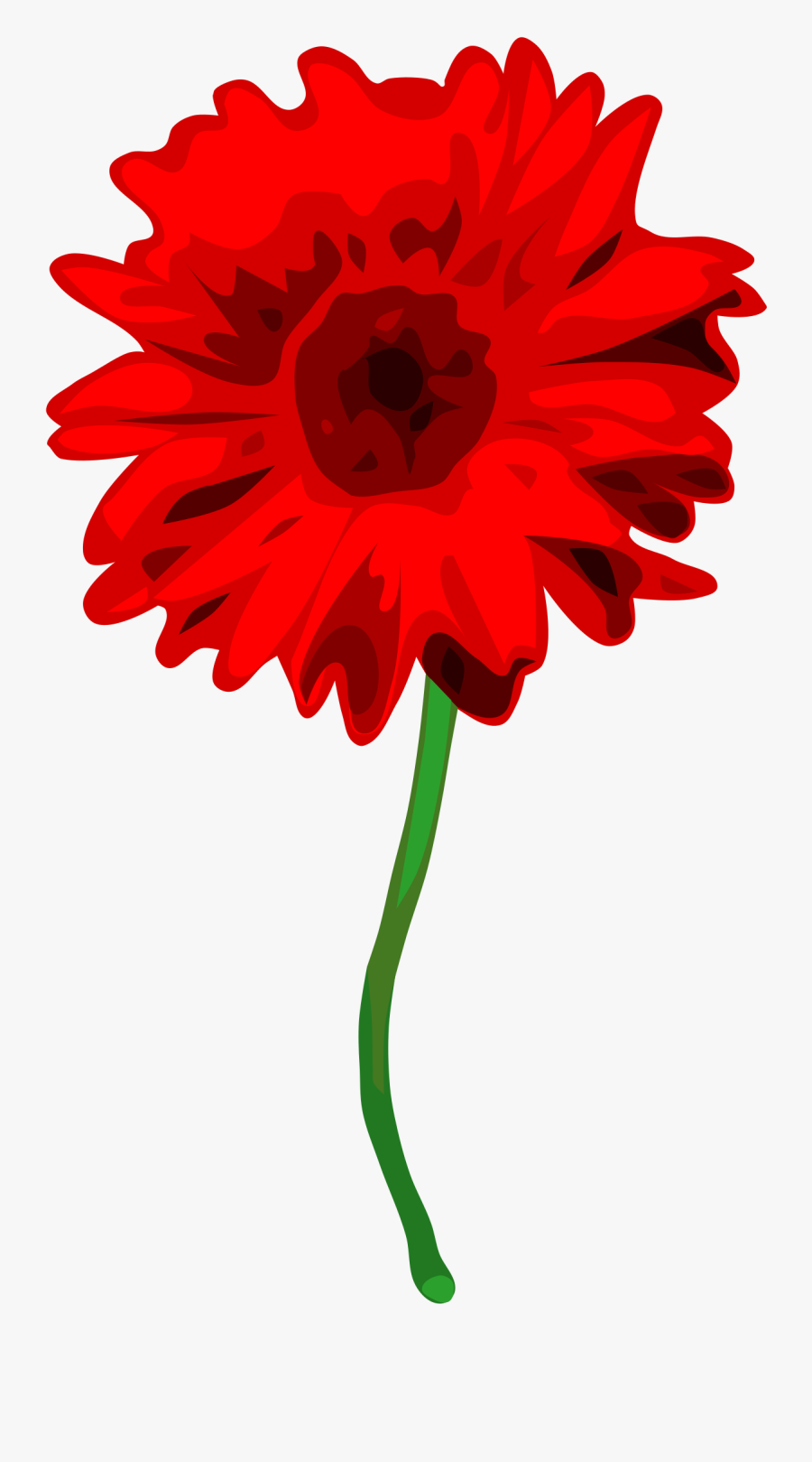 Plant,flower,petal - Gerbera Flower Transparent Background, Transparent Clipart