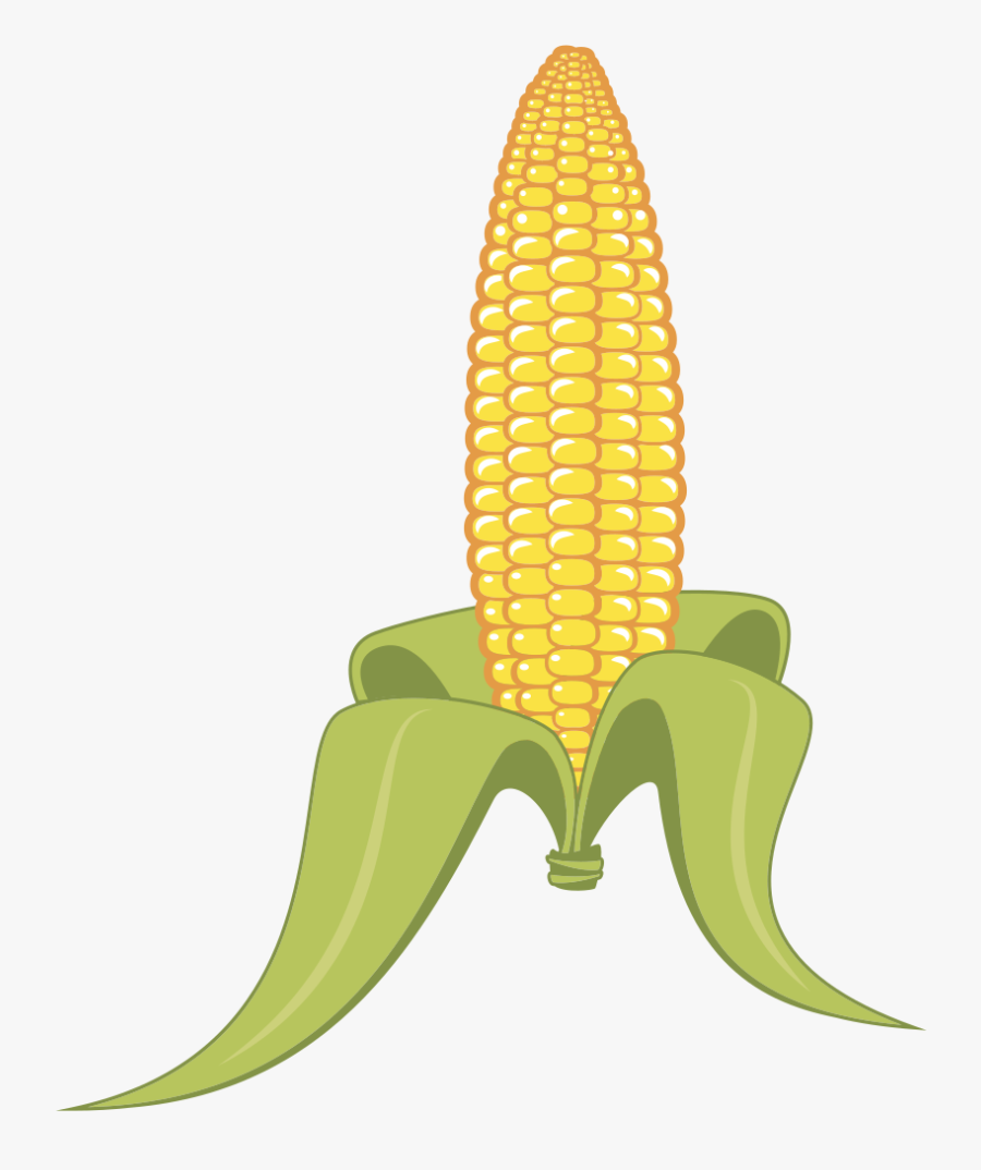 Corn - Corn On The Cob Clipart , Free Transparent Clipart - ClipartKey