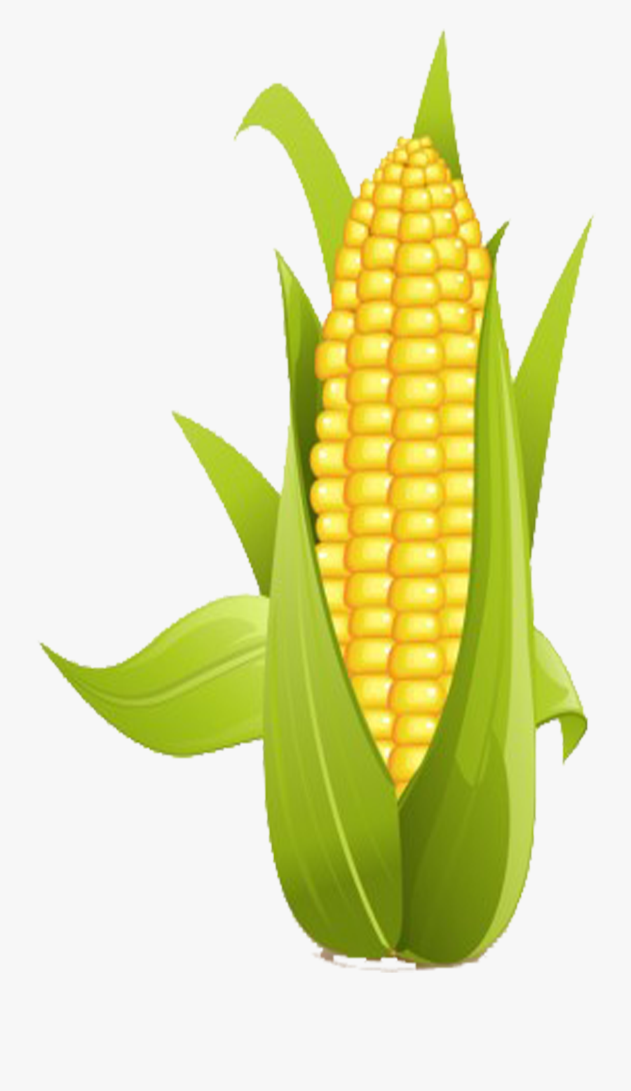 On The Cob Sweet - Sweetcorn Clipart , Free Transparent Clipart ...